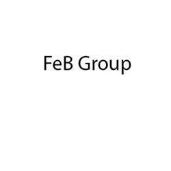 FeB Group