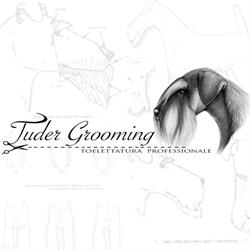 Tuder Grooming