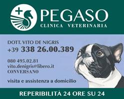 Clinica Veterinaria Pegaso