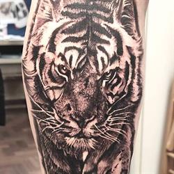 Blue Shark Tattoo