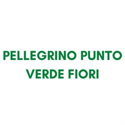 Pellegrino Punto Verde Fiori