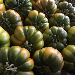 Centro Ingrosso Ortofrutta