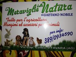 Le Meraviglie della Natura