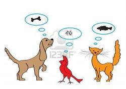 Pet Shop