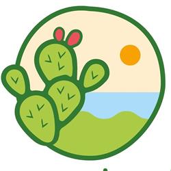 Alficodindia - Vacanze a Sampieri