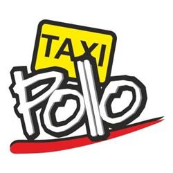 Pollo Taxi