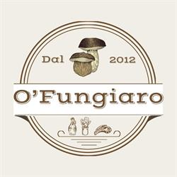Vincenzo O Fungiaro Caiazza