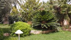 Villa Bellino B&B