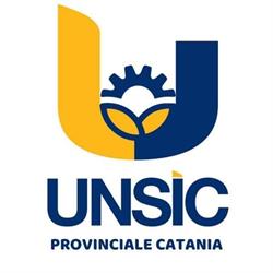 Unsic