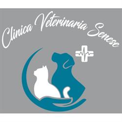 Clinica Veterinaria Senese