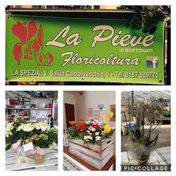 Floricoltura La Pieve