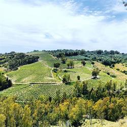 Casa Ponziana - Azienda Agricola Biologica di Caterina Salerno