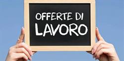 Workforce Agenzia di Lavoro Temporaneo