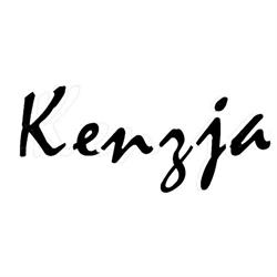 Kenzja Sas Di Piscardi f. e Zagaria v. & c.