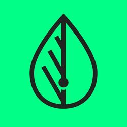 Simple Leaf