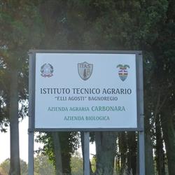 Azienda Agricola Carbonara