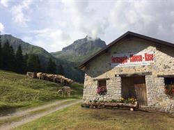 Azienda Agricola Furloni Martino
