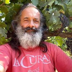 Cantina La Cura