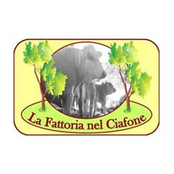 La Fattoria Nel Ciafone