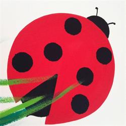 Asilo nido "Le coccinelle"