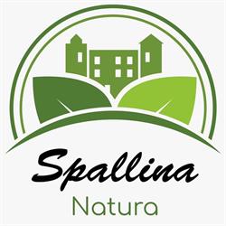 Spallina Giovanni