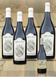 Azienda Agricola Vitivinicola Pallottini