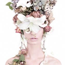 Clinic Beauty Sassuolo - Clinica della Bellezza