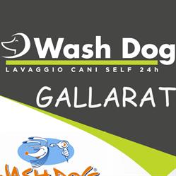 Wash Dog