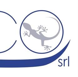 Ge.Co. Srl