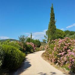 Agriturismo Poggio Dolce
