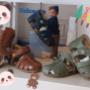 Gallery Cliente