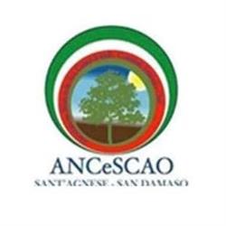 Comitato Anziani e Orti S. Agnese S. Damaso APS