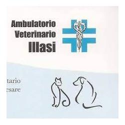 Ambulatorio Veterinario Artemide