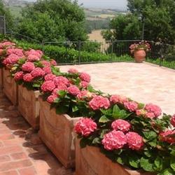 Agriturismo Torre Piantarosa