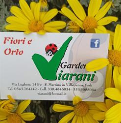 Garden Viarani