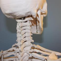Osteopata Cécile Cassini