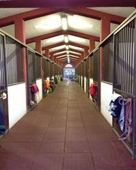 Scuderia I Mandorli Scuola di Equitazione Pony Club