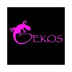 Gekos
