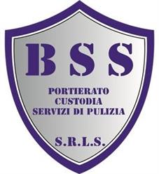 BSS Srl