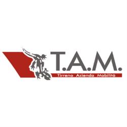 Tambus
