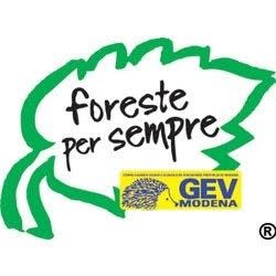 Foreste per Sempre