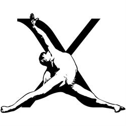Fluxodynamica Asd