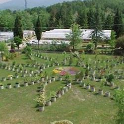 Azienda Agraria L. Fantoni Soliera Apuana
