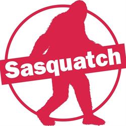 Sasquatch Grafica, Stampa e Web