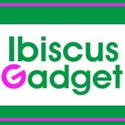 Ibiscus Gadget di Sonia Vaggelli