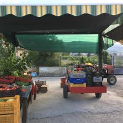 Azienda Agricola La Smilea