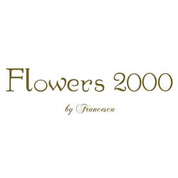 Flowers2000