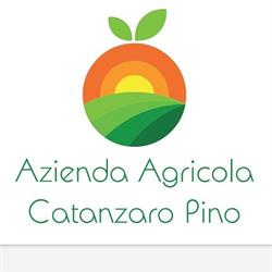 Azienda Agricola Catanzaro Pino