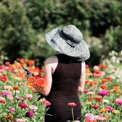 Olga s Flower Farm (Vivaio)