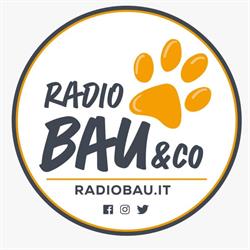 RadioBau & Co.
